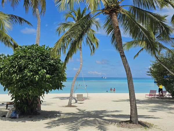 Les Campings Écologiques : Un Catalyseur du Tourisme Responsable et Durable